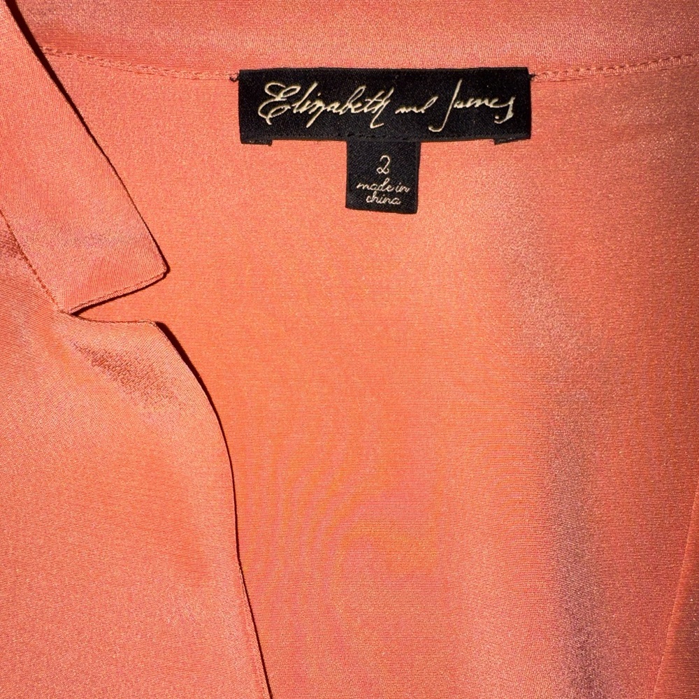 Elizabeth and James Silk Shift Dress Size 2 Coral Minimalist Chic Quiet Luxury - Picture 3 of 11